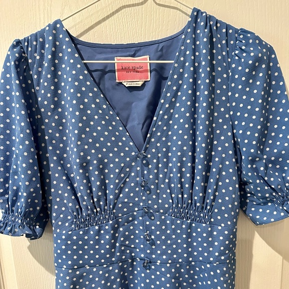 Kate Spade Cornflower Blue Tea Garden Toss Poplin Fit and Flare Dress - Picture 4 of 16